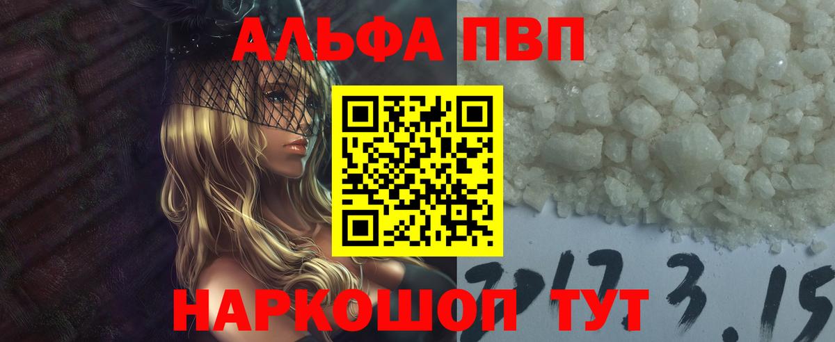 Альфа ПВП СК Кузнецк