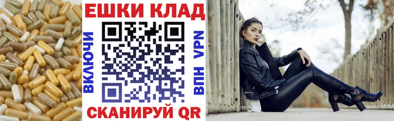 Ecstasy Philipp Plein  Кузнецк 