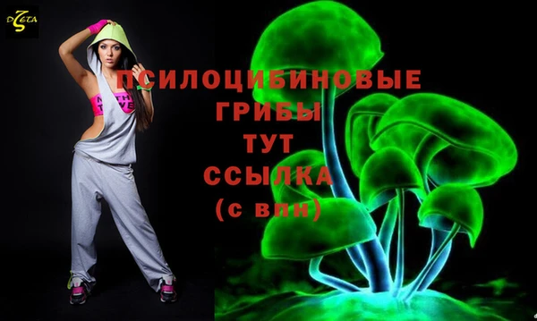 гидропоника Надым