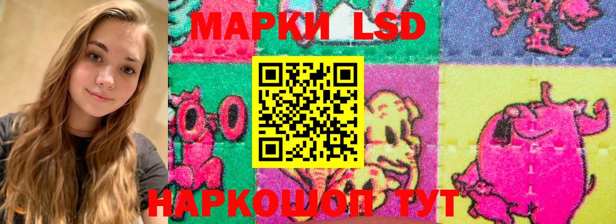APVP Кузнецк