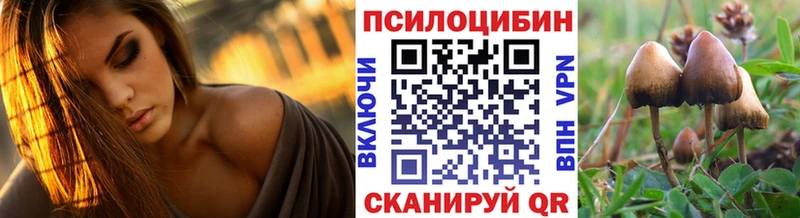 MEGA ссылки  Кузнецк  Галлюциногенные грибы мицелий 