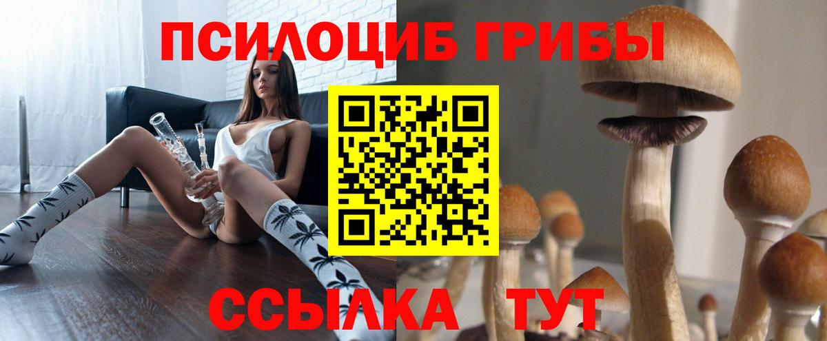Псилоцибиновые грибы прущие грибы Кузнецк