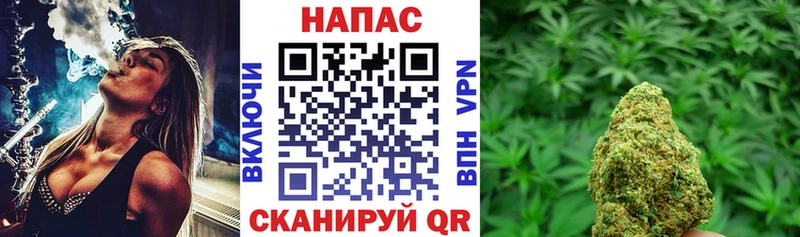 Марихуана планчик  Кузнецк 